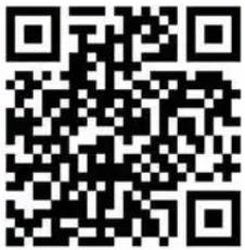 红豆B2C电商网站在线付款商城系统